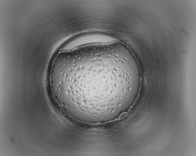 X0000114030536200910161822