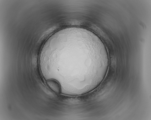 X0000114030537200910161822