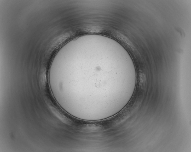 X0000114030541200910161822