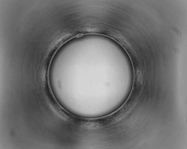 X0000114030542200910161822