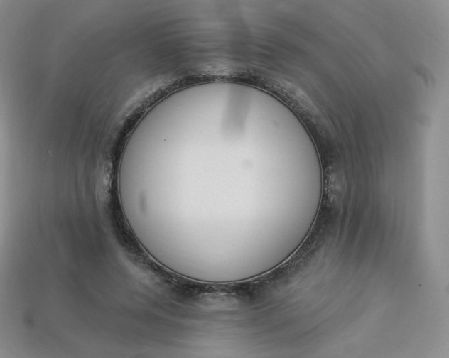 X0000114030544200910161822