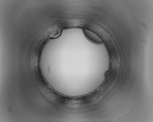 X0000114030546200910161822