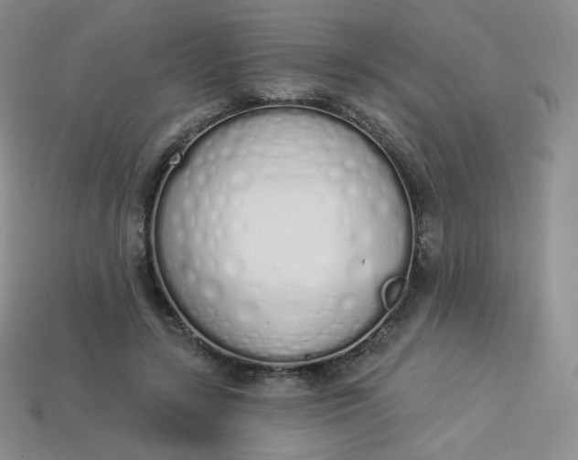 X0000114030547200910161822