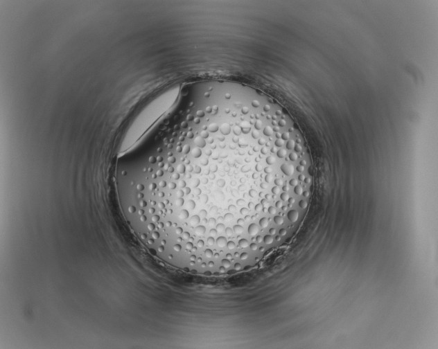 X0000114030548200910161822