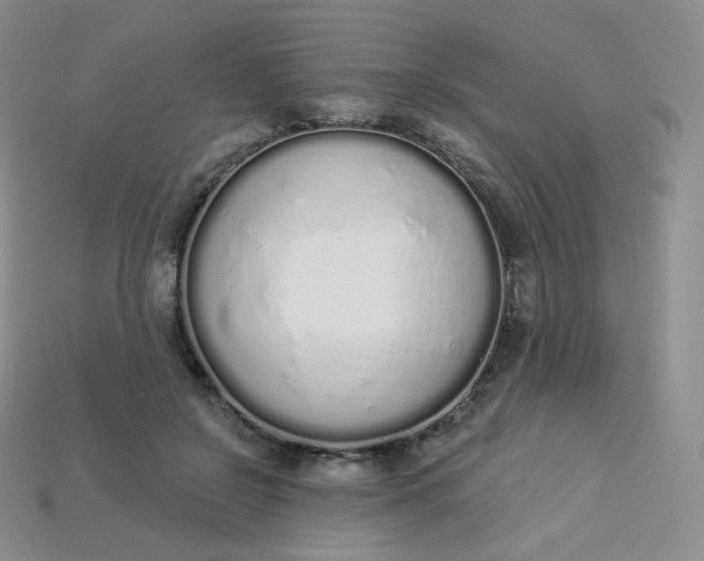 X0000114030550200910161822