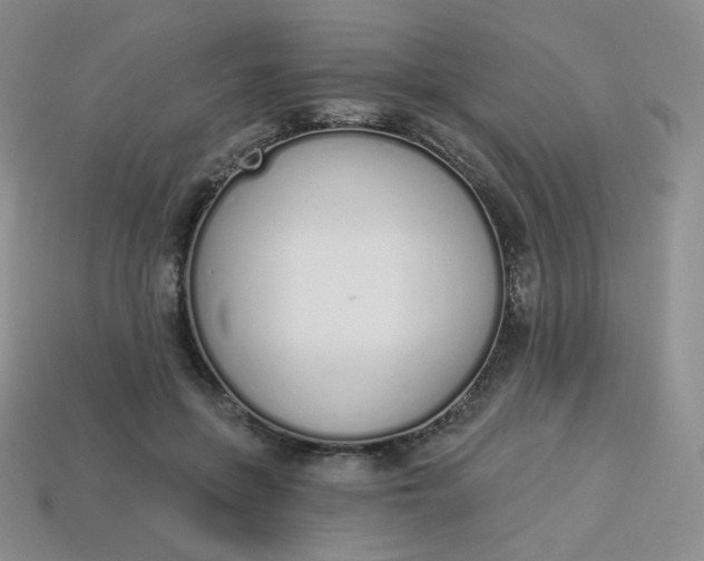 X0000114030551200910161822