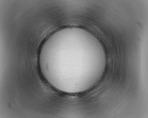 X0000114030552200910161822