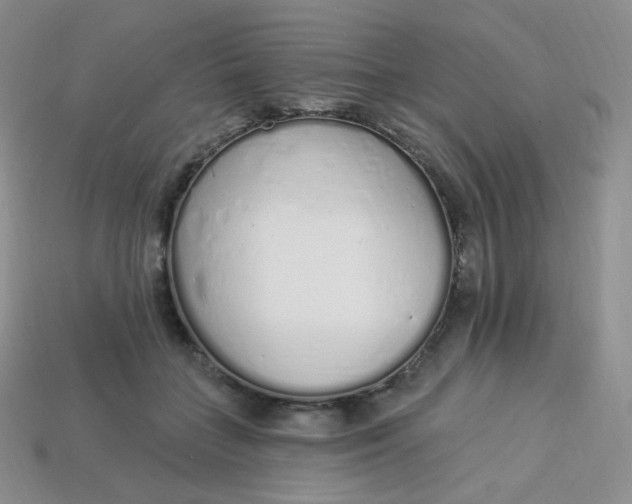 X0000114030555200910161822