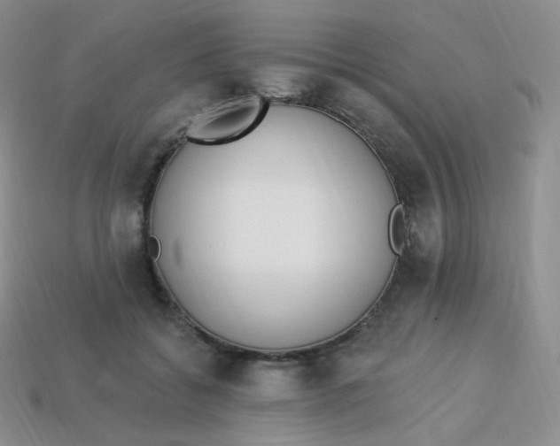 X0000114030556200910161822