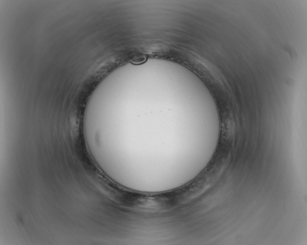 X0000114030558200910161822