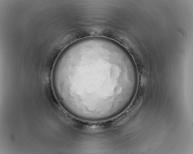 X0000114030561200910161822