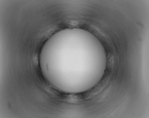 X0000114030562200910161822