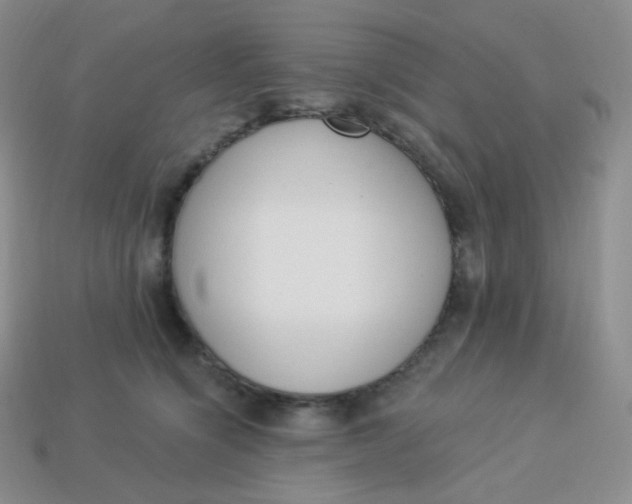 X0000114030564200910161822