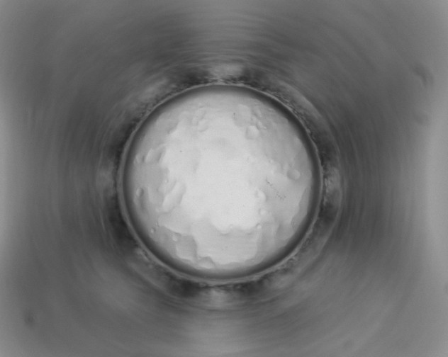 X0000114030565200910161822