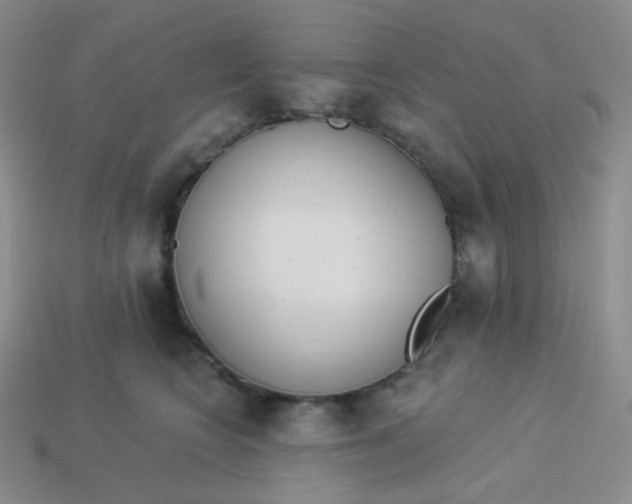 X0000114030566200910161822