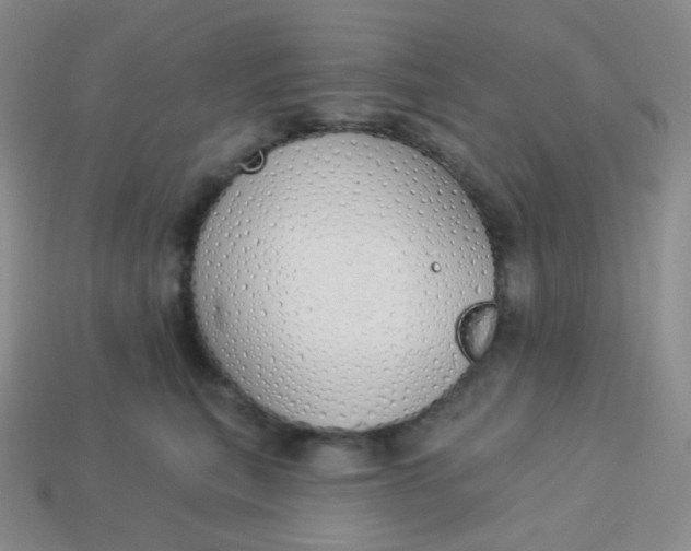 X0000114030567200910161822