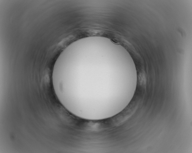 X0000114030570200910161822