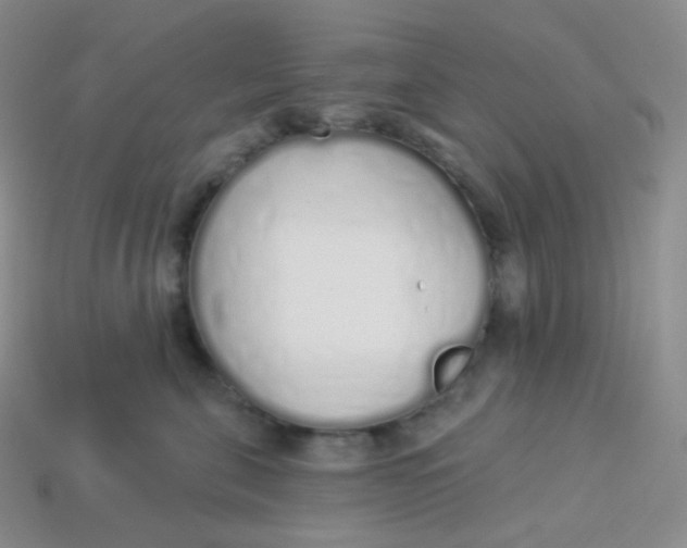 X0000114030571200910161822