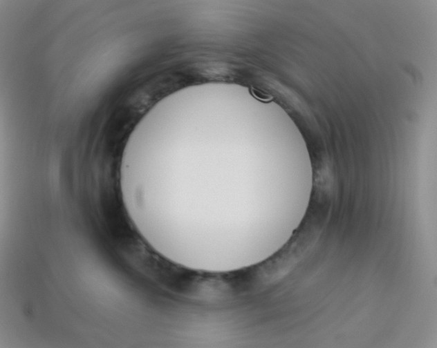 X0000114030572200910161822