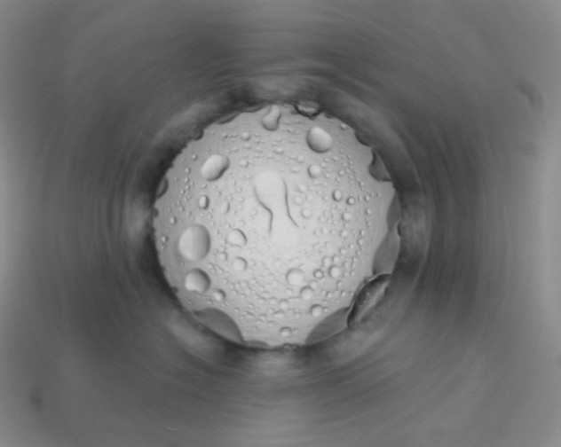 X0000114030574200910161822