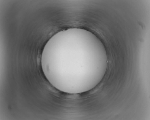 X0000114030576200910161822