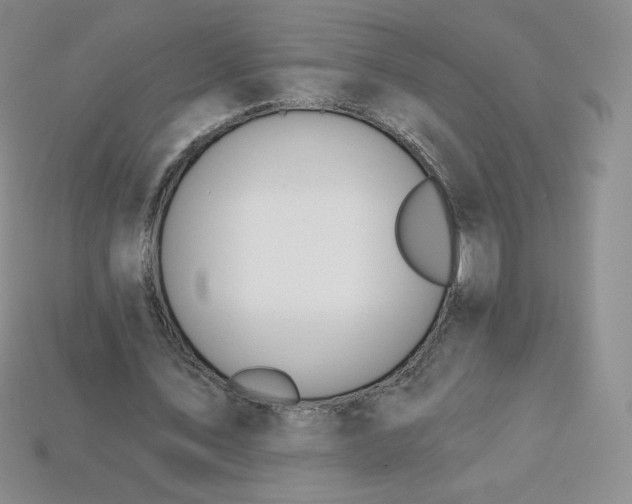 X0000114030579200910161822