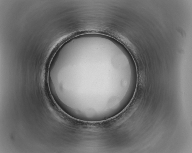 X0000114030580200910161822