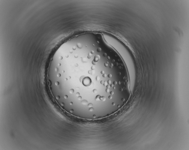 X0000114030581200910161822