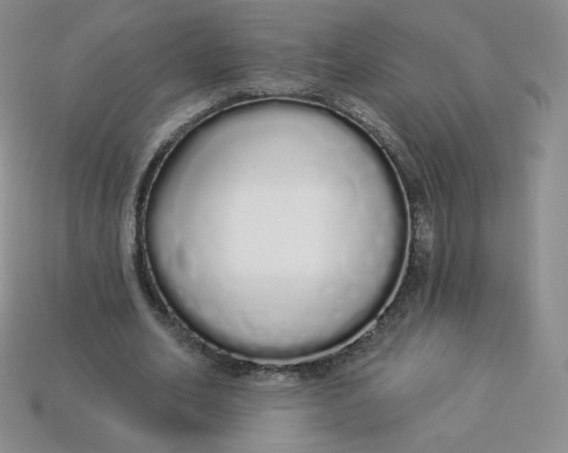 X0000114030582200910161822