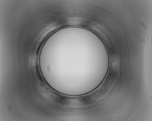 X0000114030583200910161822