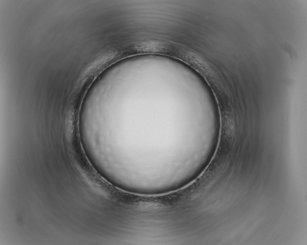 X0000114030586200910161822