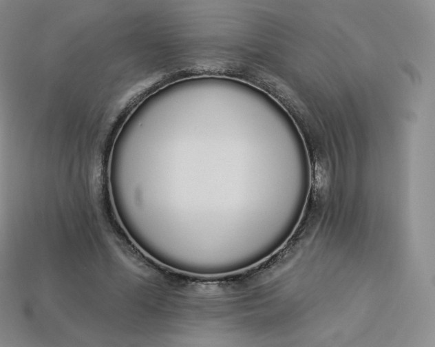 X0000114030588200910161822