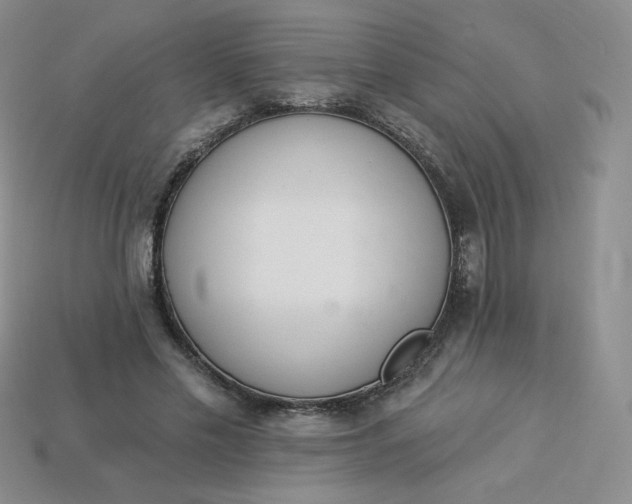 X0000114030589200910161821