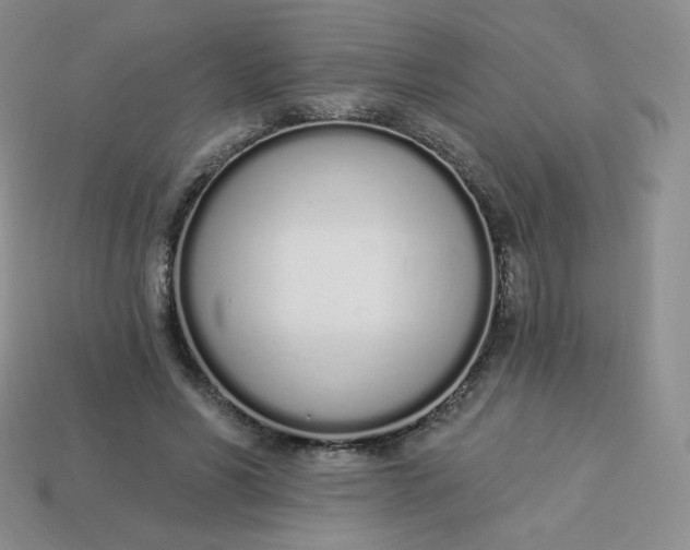 X0000114030590200910161821