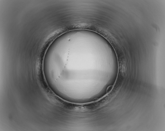 X0000114030591200910161821