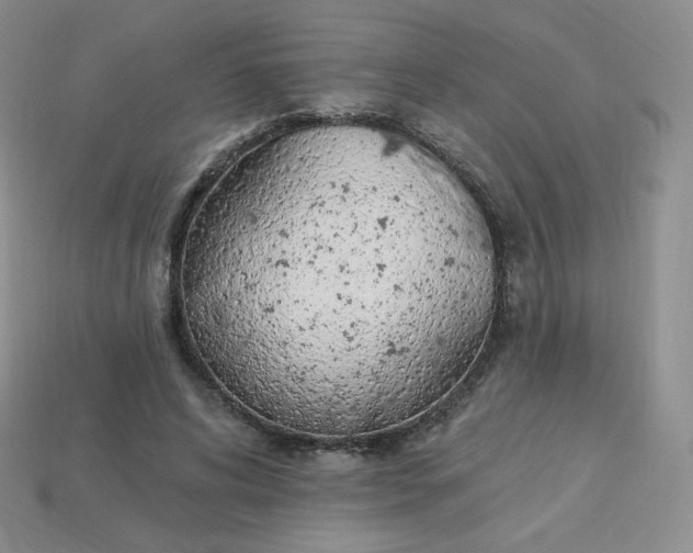 X0000114030592200910161821