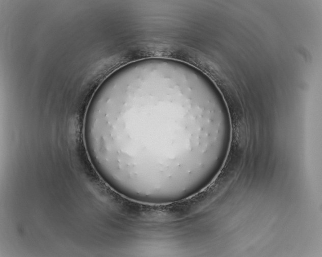 X0000114030594200910161821