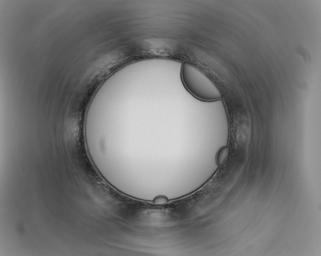 X0000114030595200910161821