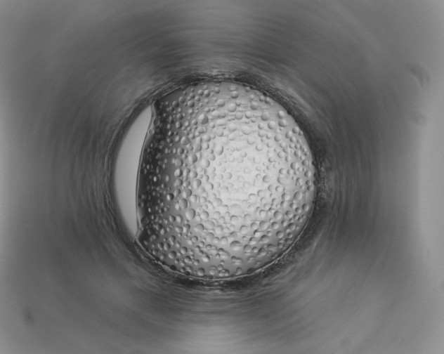 X0000114030597200910161821