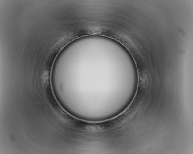 X0000114030598200910161821