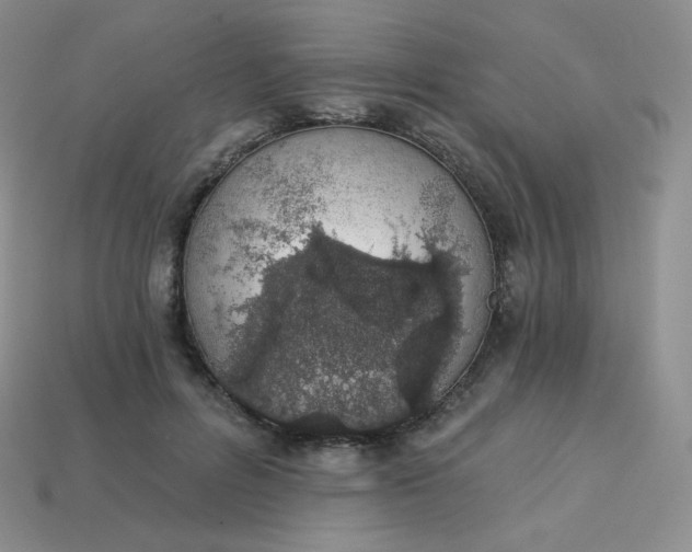 X0000114030600200910161821