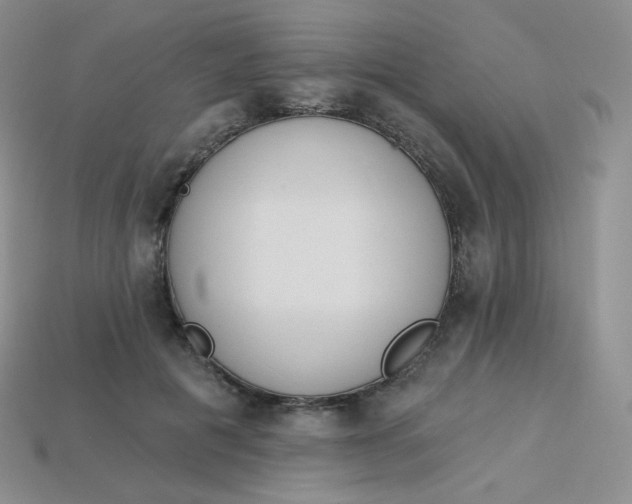 X0000114030601200910161821