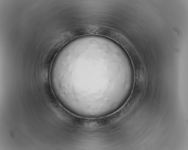 X0000114030602200910161821