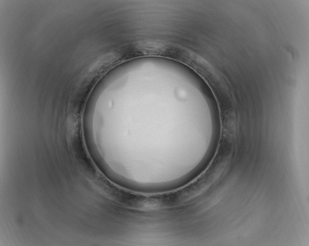 X0000114030604200910161821