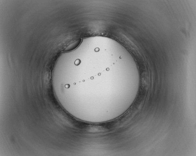 X0000114030605200910161821