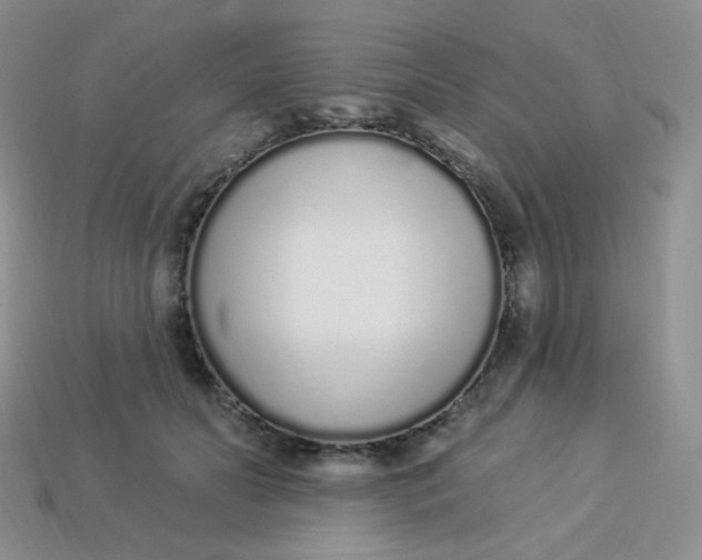 X0000114030606200910161821