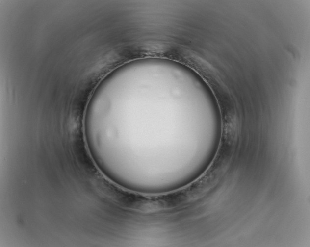 X0000114030608200910161821