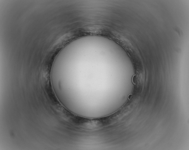 X0000114030609200910161821