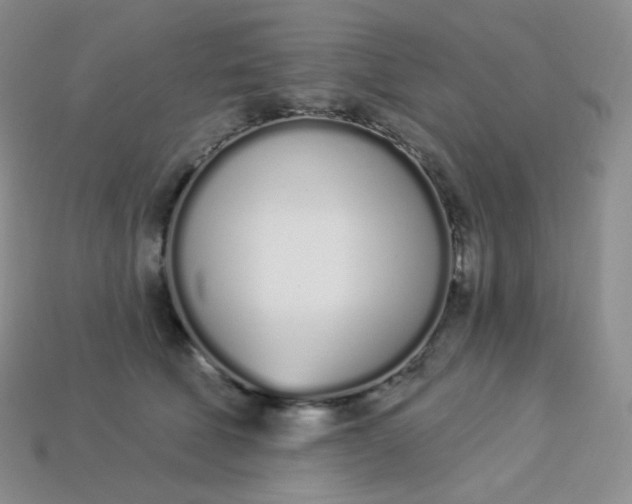 X0000114030610200910161821