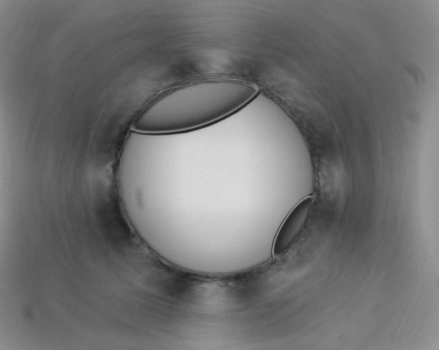 X0000114030611200910161821